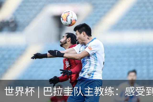世界杯 | 巴拉圭队主教练：感受到比赛的极致压力